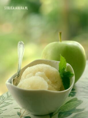 Sorbet jabłkowy bezmleczne lody owocowe